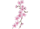 کرم دست لوکسیتان مدل cherry blossom