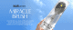 برس هیرتامین مدل MIRACLE