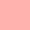 04 Pearly Peach Rose